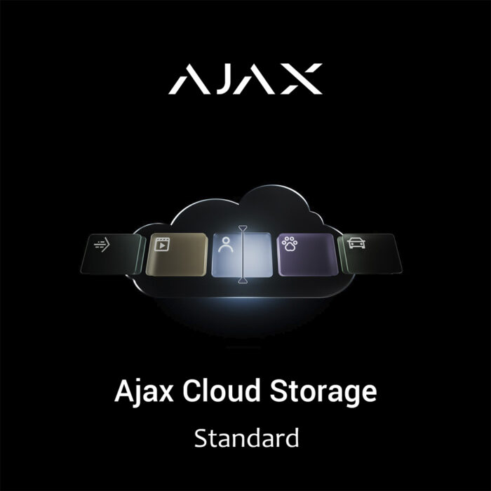 Ajax Cloud Storage Standard (4 камери